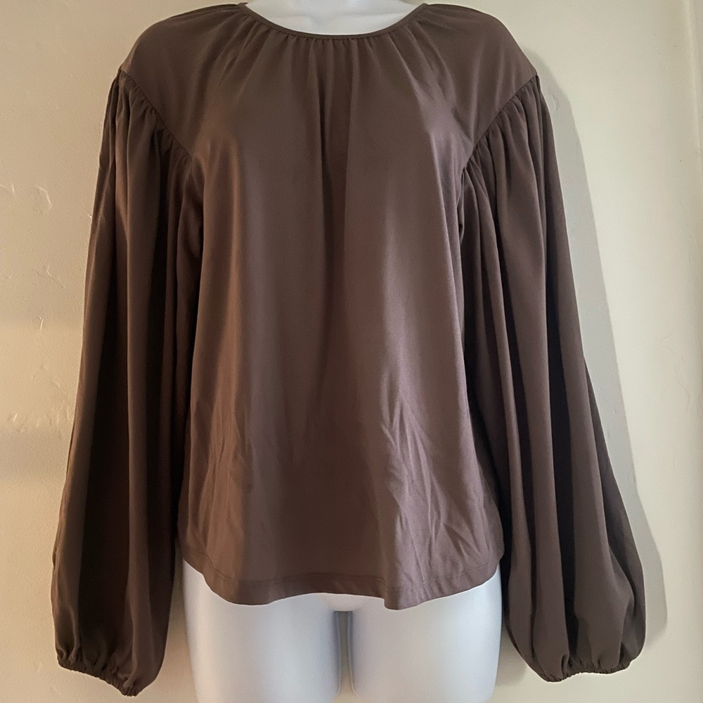 a new day  - Brown Balloon Sleeved top